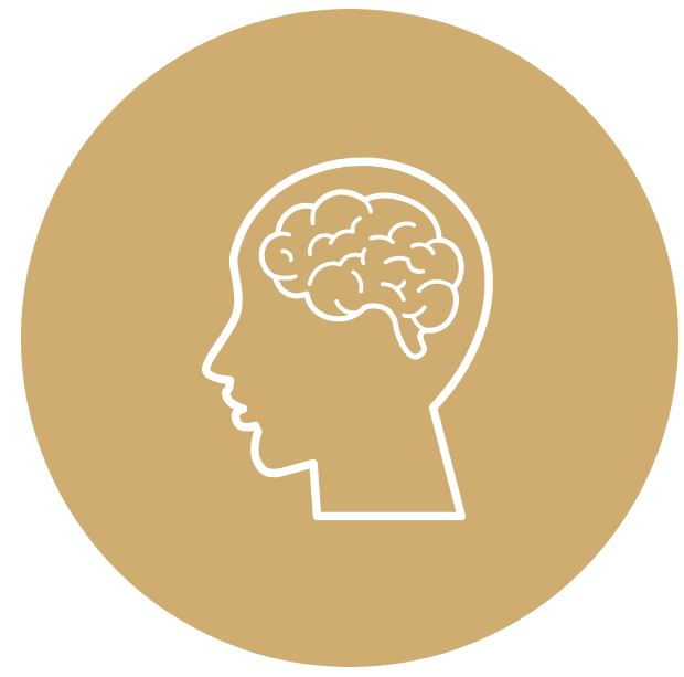 Brain Function Amber