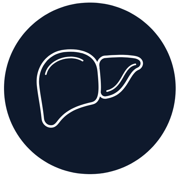 Liver Function Navy-1