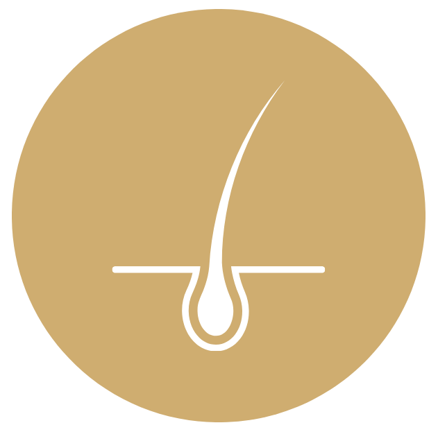 Scalp Follicle Amber-1