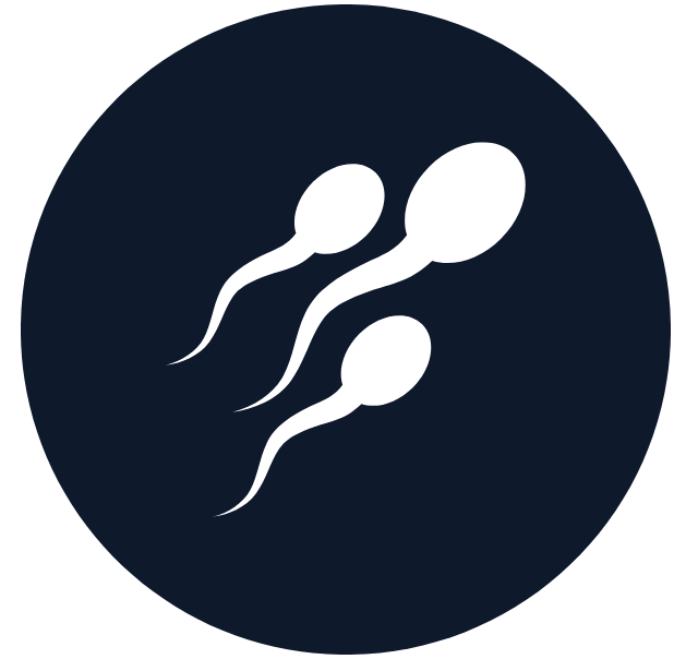 Sperm Production Navy-1